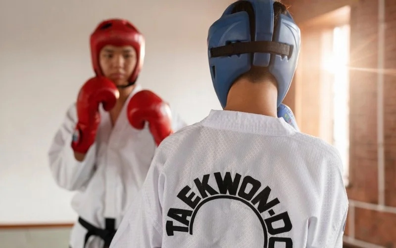 Defining Martial Arts