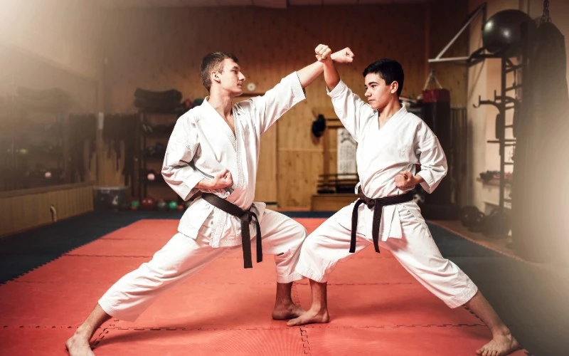 Origin and Evolution of Kickboxing